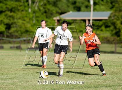 Thumbnail 3 in Elizabethton at David Crokett photogallery.