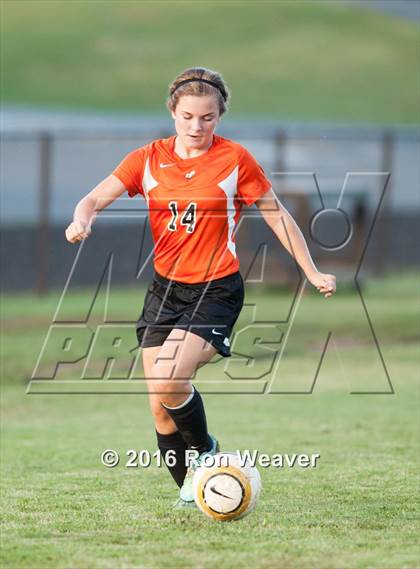Thumbnail 3 in Elizabethton at David Crokett photogallery.
