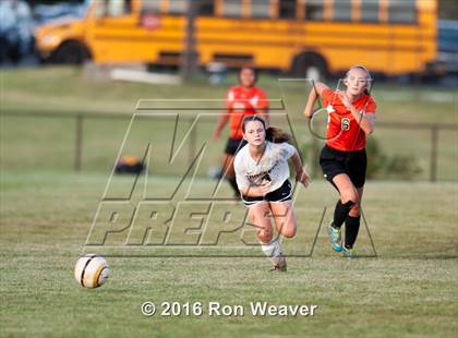 Thumbnail 2 in Elizabethton at David Crokett photogallery.