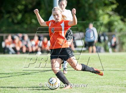 Thumbnail 2 in Elizabethton at David Crokett photogallery.
