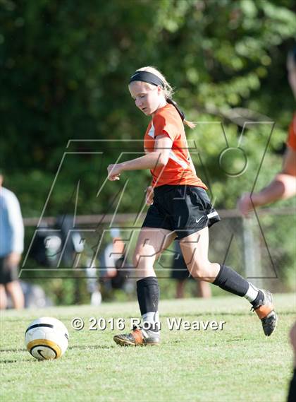 Thumbnail 1 in Elizabethton at David Crokett photogallery.