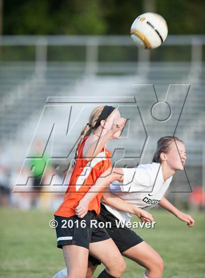 Thumbnail 3 in Elizabethton at David Crokett photogallery.