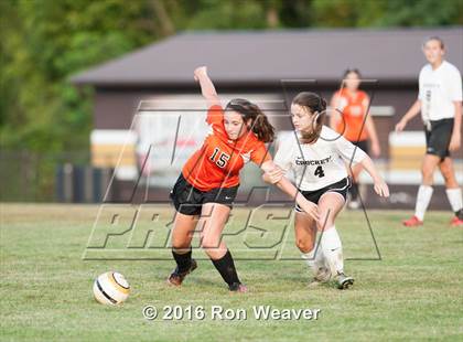 Thumbnail 1 in Elizabethton at David Crokett photogallery.