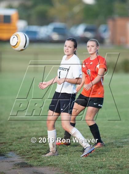Thumbnail 3 in Elizabethton at David Crokett photogallery.