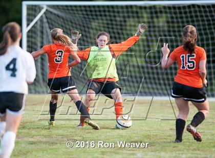 Thumbnail 1 in Elizabethton at David Crokett photogallery.