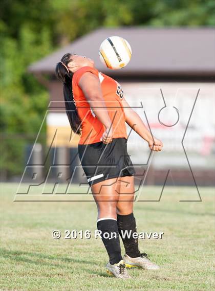 Thumbnail 2 in Elizabethton at David Crokett photogallery.