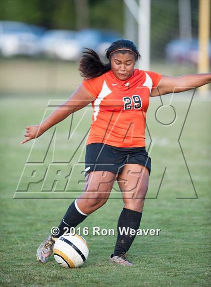 Thumbnail 3 in Elizabethton at David Crokett photogallery.