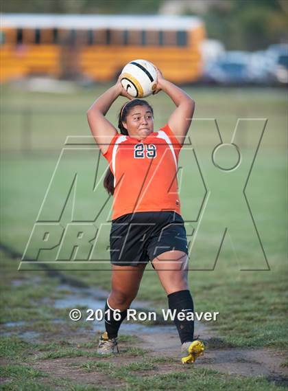 Thumbnail 3 in Elizabethton at David Crokett photogallery.