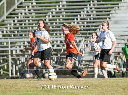 Thumbnail 2 in Elizabethton at David Crokett photogallery.