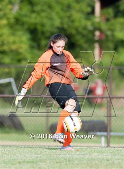 Thumbnail 1 in Elizabethton at David Crokett photogallery.