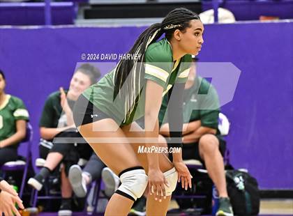 Thumbnail 3 in Bear Creek vs Littleton photogallery.