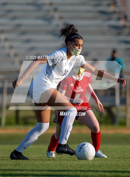 Thumbnail 2 in Jack Britt @ Seventy-First photogallery.