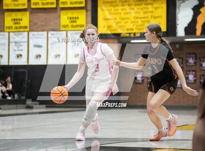 Thumbnail 2 in Campo Verde @ Gilbert (AIA Open state round 1) photogallery.