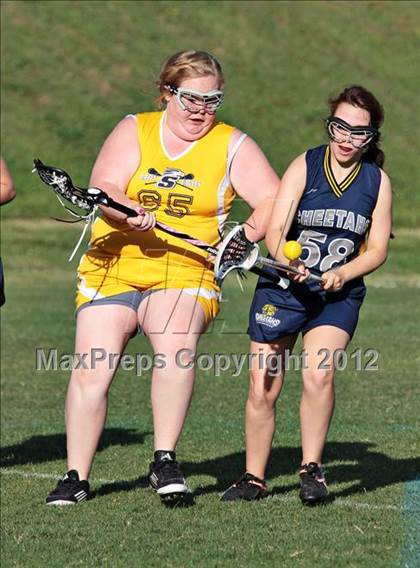 Thumbnail 2 in Seymour vs Knoxville Cheetahs  photogallery.
