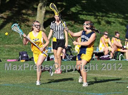 Thumbnail 2 in Seymour vs Knoxville Cheetahs  photogallery.