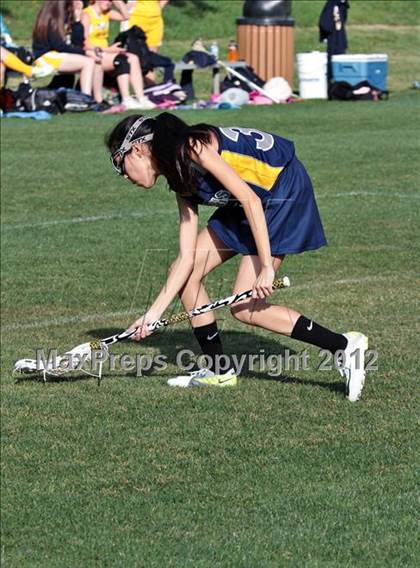 Thumbnail 1 in Seymour vs Knoxville Cheetahs  photogallery.