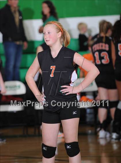 Thumbnail 3 in JV: Webster @ Siren photogallery.