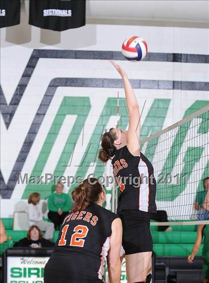 Thumbnail 2 in JV: Webster @ Siren photogallery.