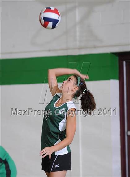 Thumbnail 1 in JV: Webster @ Siren photogallery.