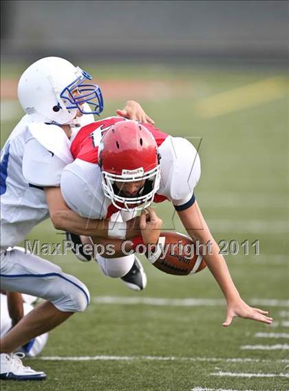 Thumbnail 3 in Centennial @ Milton photogallery.