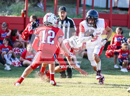 Thumbnail 2 in First Baptist Christian @ Wylie Preparatory  photogallery.