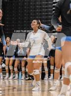 Photo from the gallery "Marana @ Mica Mountain"