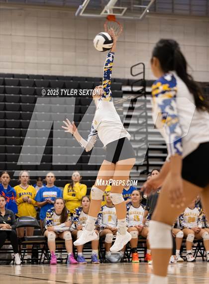 Thumbnail 3 in Marana @ Mica Mountain photogallery.