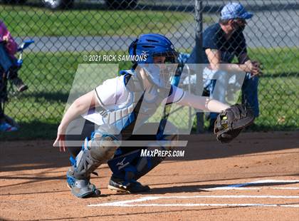 Thumbnail 2 in South Davidson @ Albemarle photogallery.
