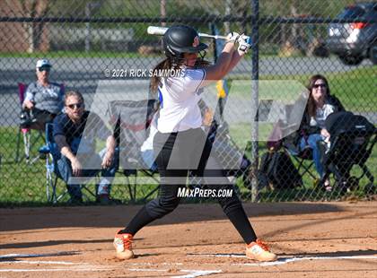 Thumbnail 3 in South Davidson @ Albemarle photogallery.