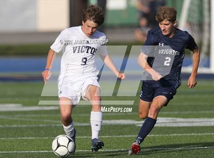Thumbnail 3 in Victor @ Brighton photogallery.