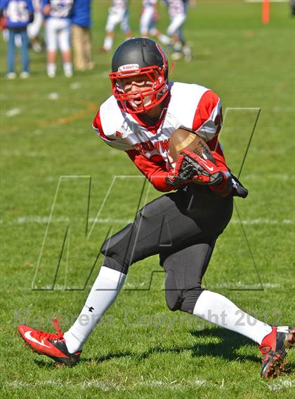 Thumbnail 1 in Cromwell @ Nonnewaug photogallery.