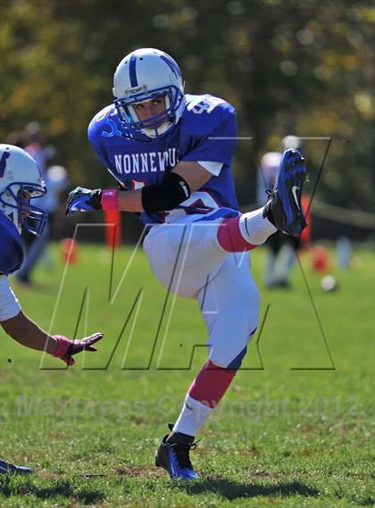 Thumbnail 3 in Cromwell @ Nonnewaug photogallery.