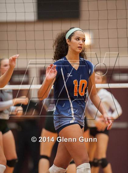 Thumbnail 3 in Sachse @ Rowlett photogallery.
