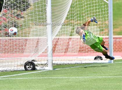 Thumbnail 3 in Franklin Academy vs. Community School of Davidson (NCHSAA 1A Final) photogallery.