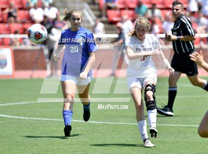 Thumbnail 1 in Franklin Academy vs. Community School of Davidson (NCHSAA 1A Final) photogallery.