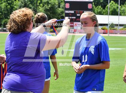 Thumbnail 1 in Franklin Academy vs. Community School of Davidson (NCHSAA 1A Final) photogallery.