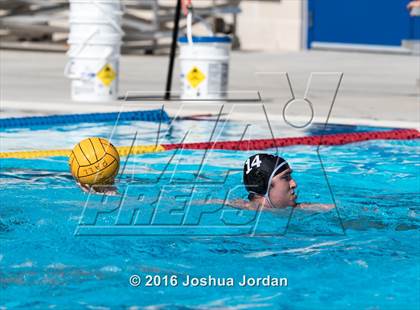 Thumbnail 1 in Warren vs SAISD (Alamo Area Aquatics Association Round Robin) photogallery.