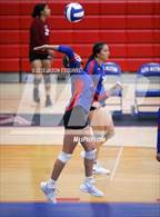 Photo from the gallery "Wilson @ Los Altos"