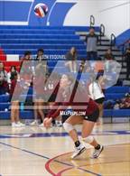 Photo from the gallery "Wilson @ Los Altos"