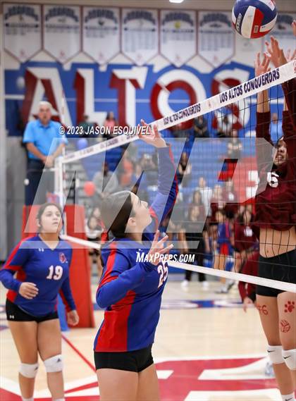 Thumbnail 1 in Wilson @ Los Altos photogallery.