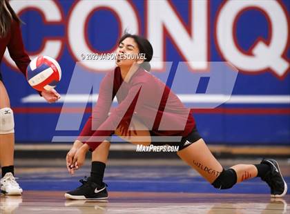 Thumbnail 2 in Wilson @ Los Altos photogallery.