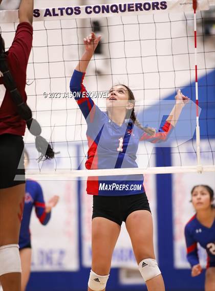 Thumbnail 1 in Wilson @ Los Altos photogallery.