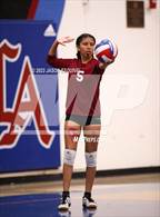 Photo from the gallery "Wilson @ Los Altos"