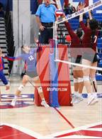 Photo from the gallery "Wilson @ Los Altos"