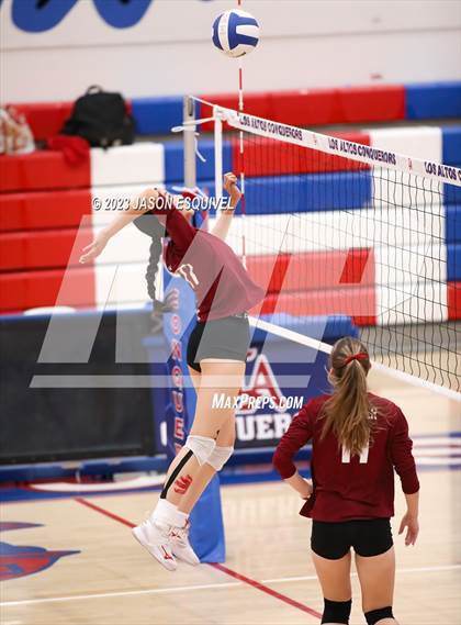 Thumbnail 2 in Wilson @ Los Altos photogallery.