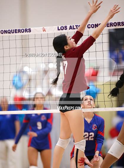 Thumbnail 1 in Wilson @ Los Altos photogallery.
