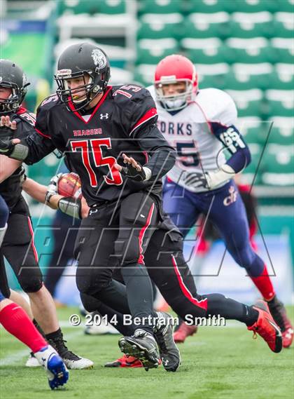 Thumbnail 3 in Chenango Forks vs. Maple Grove/Chautauqua Lake (NYSPHSAA Class C Semifinal) photogallery.