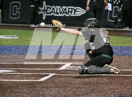 Thumbnail 2 in Tampa Catholic @ Calvary Christian photogallery.