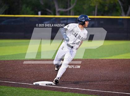 Thumbnail 3 in Tampa Catholic @ Calvary Christian photogallery.