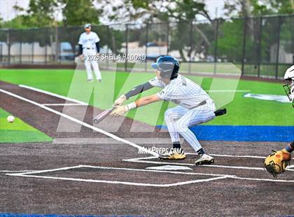 Thumbnail 3 in Tampa Catholic @ Calvary Christian photogallery.